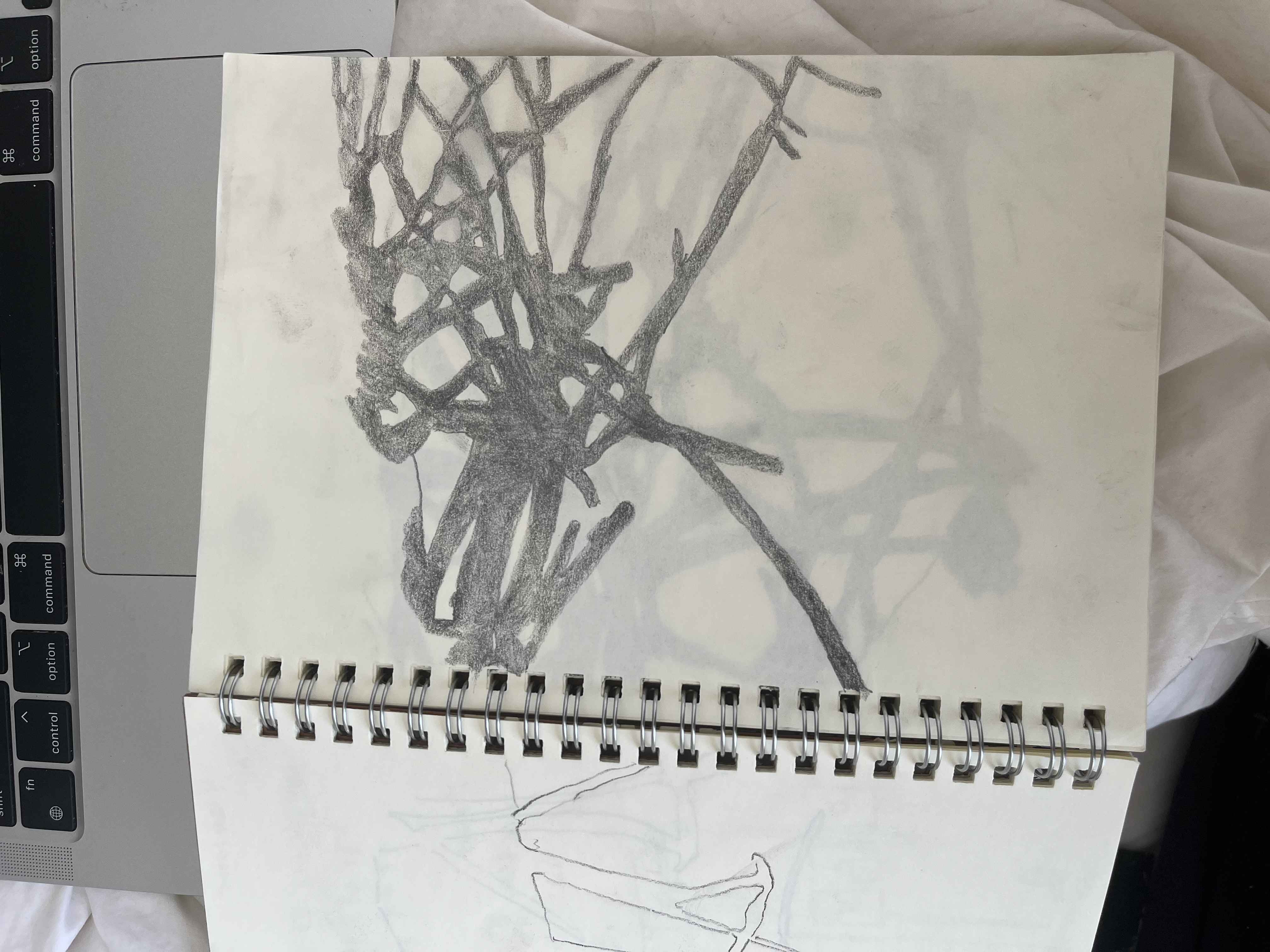 graphite on paper