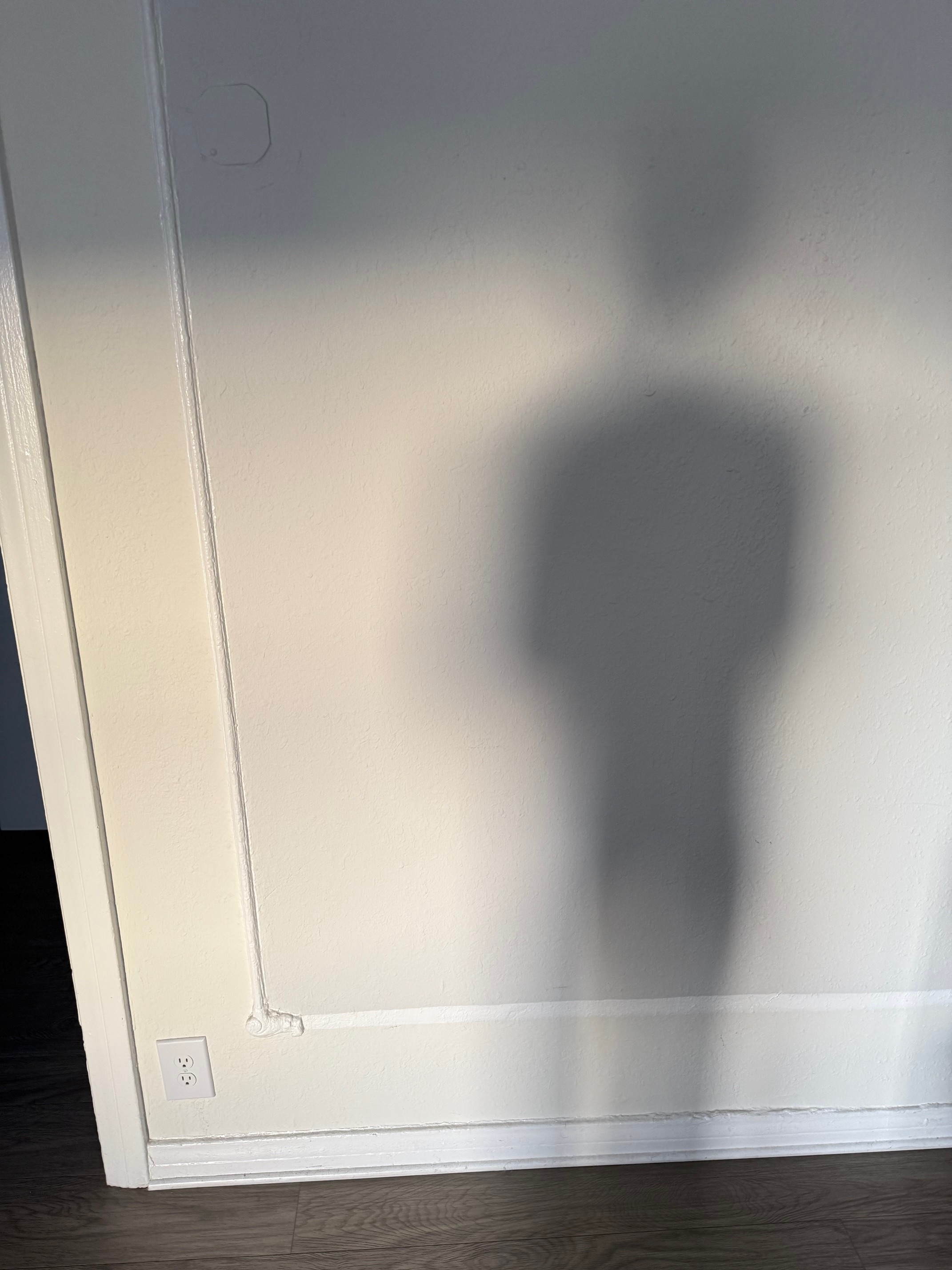 selfie