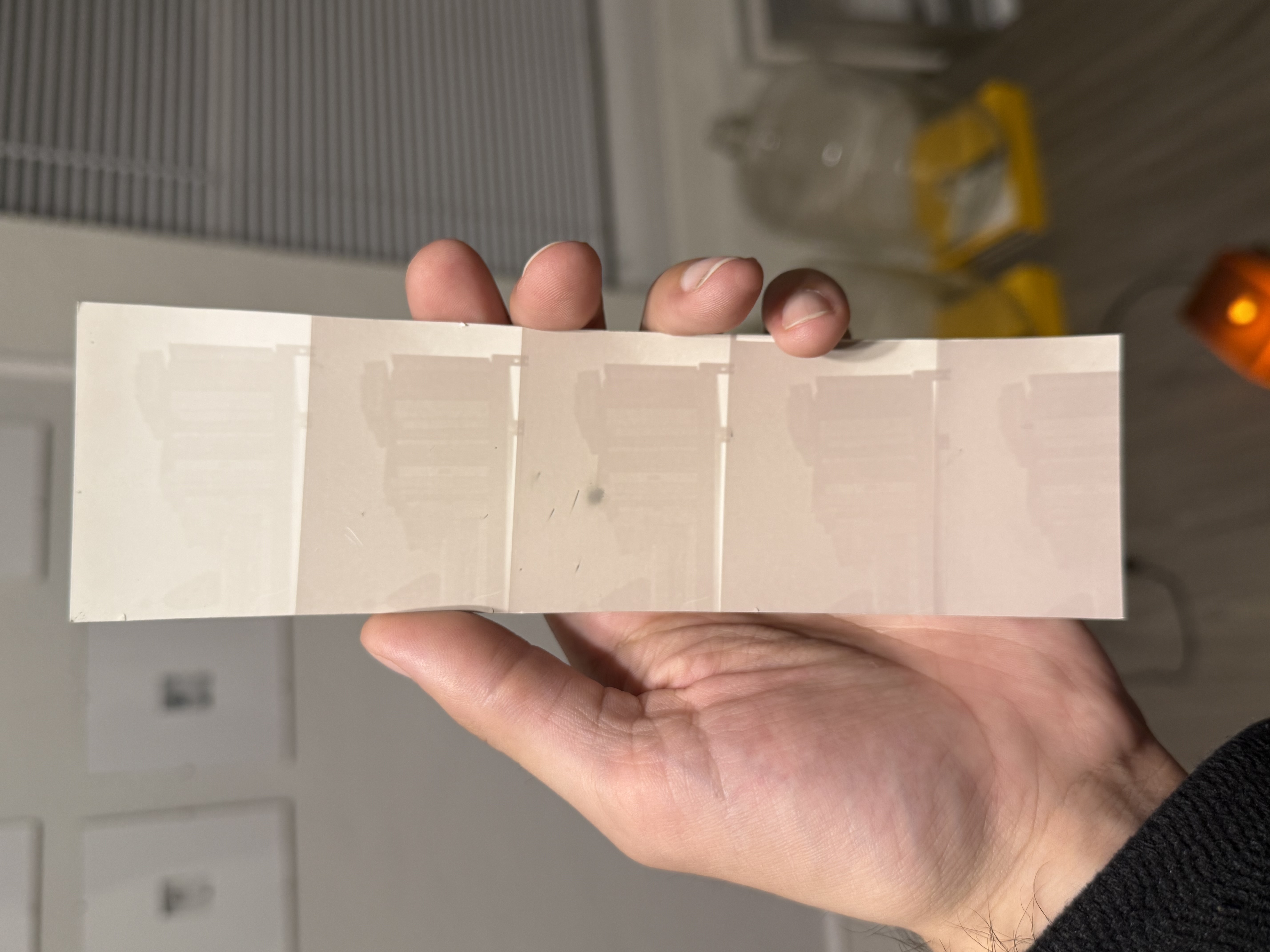 jacaranda developer test strip